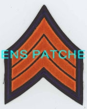 FLORIDA,LAKELAND POLICE SERGEANT CHEVRONS 1
